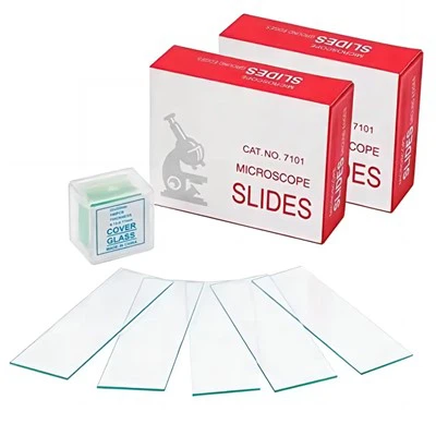 شريحة المجهر الزجاجي المختبري